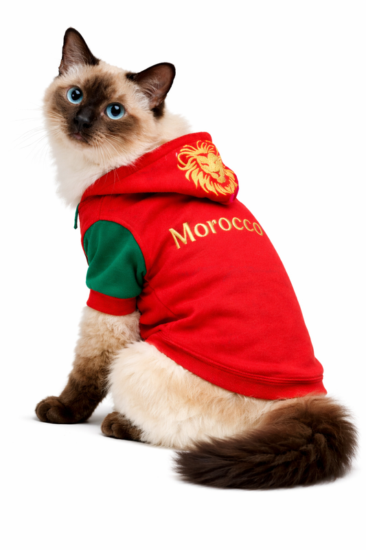 Capuche Morocco