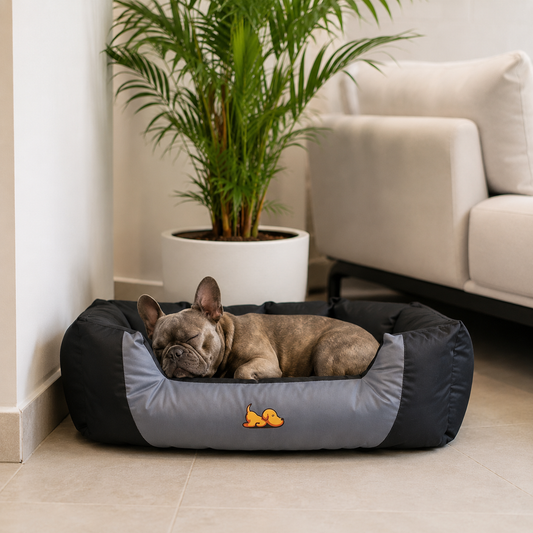 Coussin d'Été Premium pour Chiens & Chats
