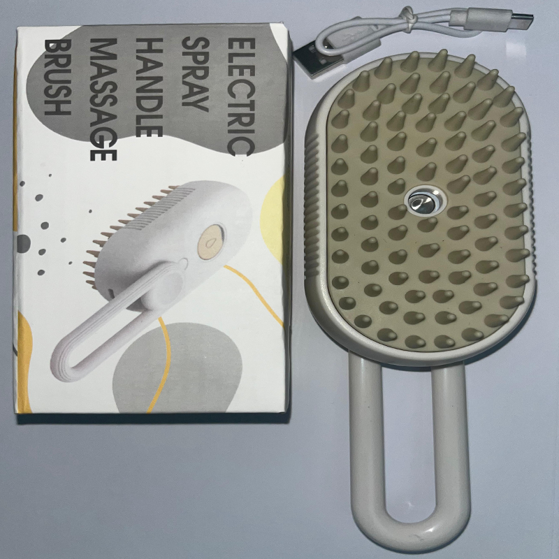 Brosse Vapeur Électrique