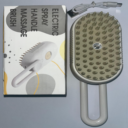 Brosse Vapeur Électrique