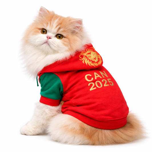 Capuche Champion CAN 2025