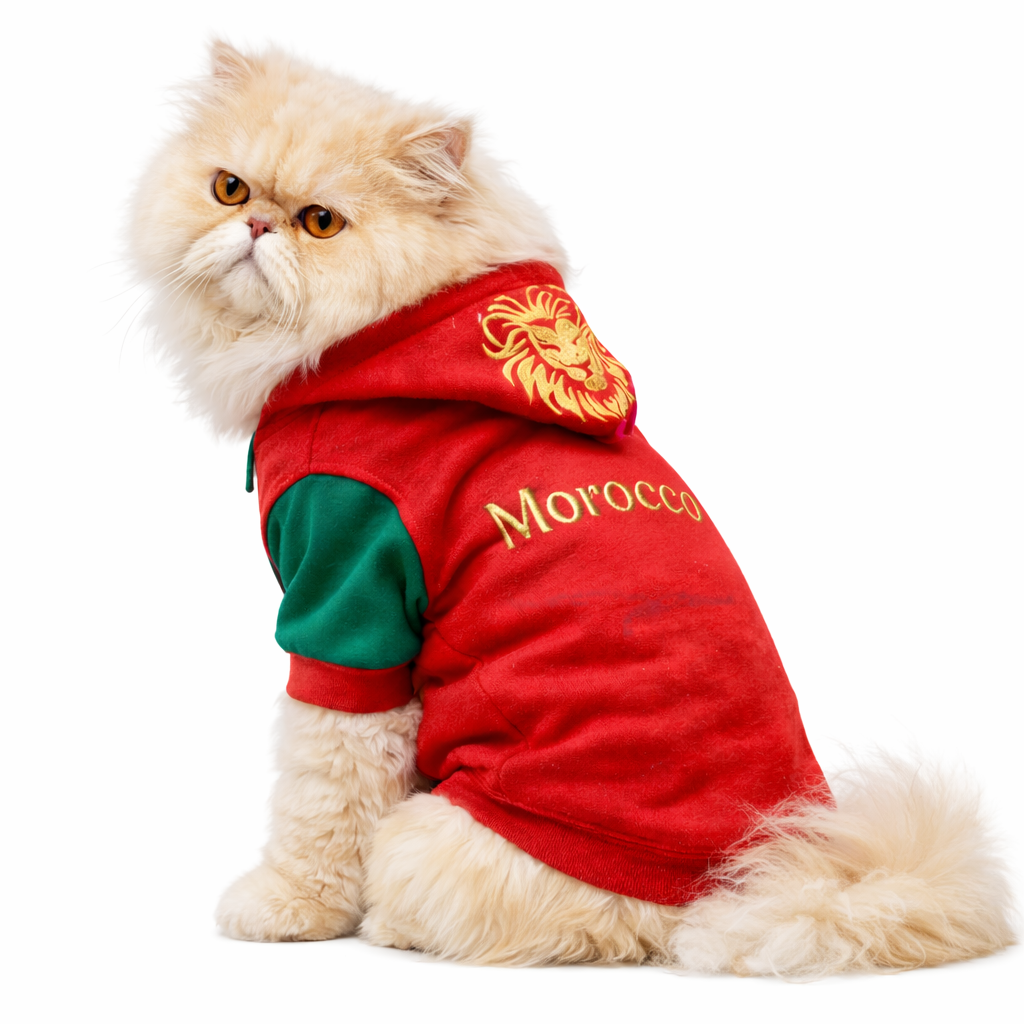 Capuche Morocco
