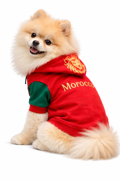 Capuche Morocco