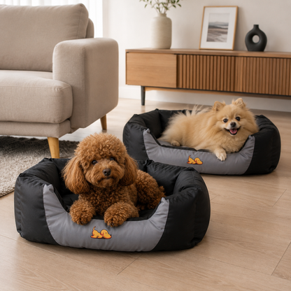 Coussin d'Été Premium pour Chiens & Chats
