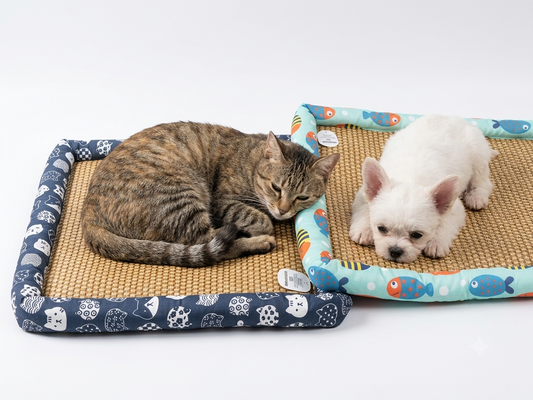 Tapis Rafraîchissant pour Chiens & Chats