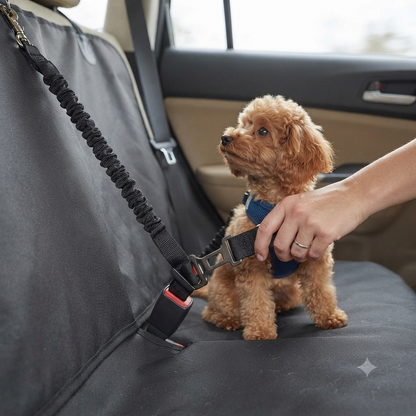 Ceinture de Sécurité Élastique & Anti-Choc pour Animaux de Compagnie