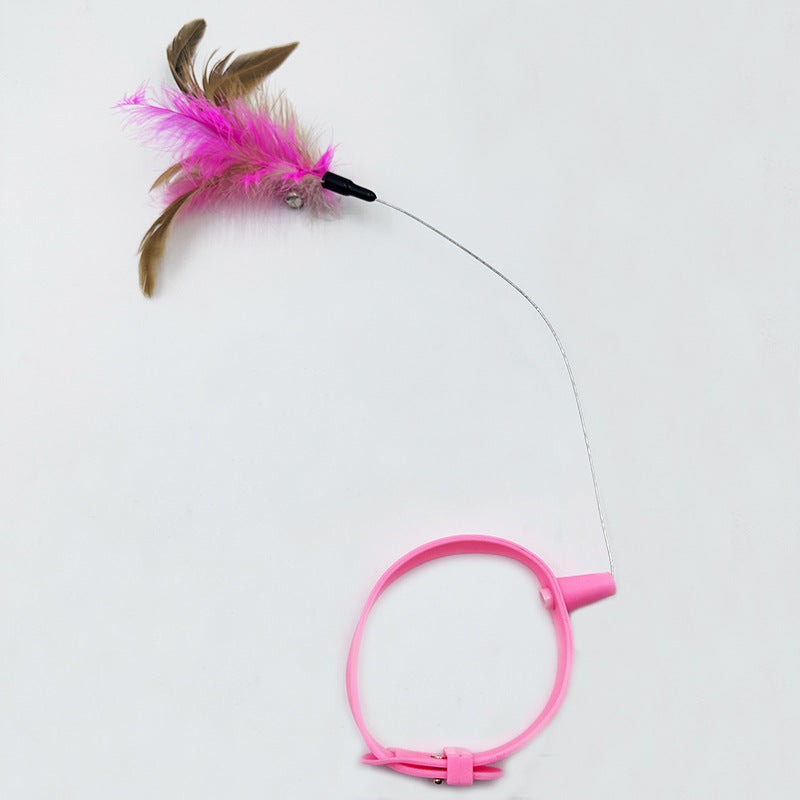 Pack Anti-Ennui : Collier interactif + Laisse premium